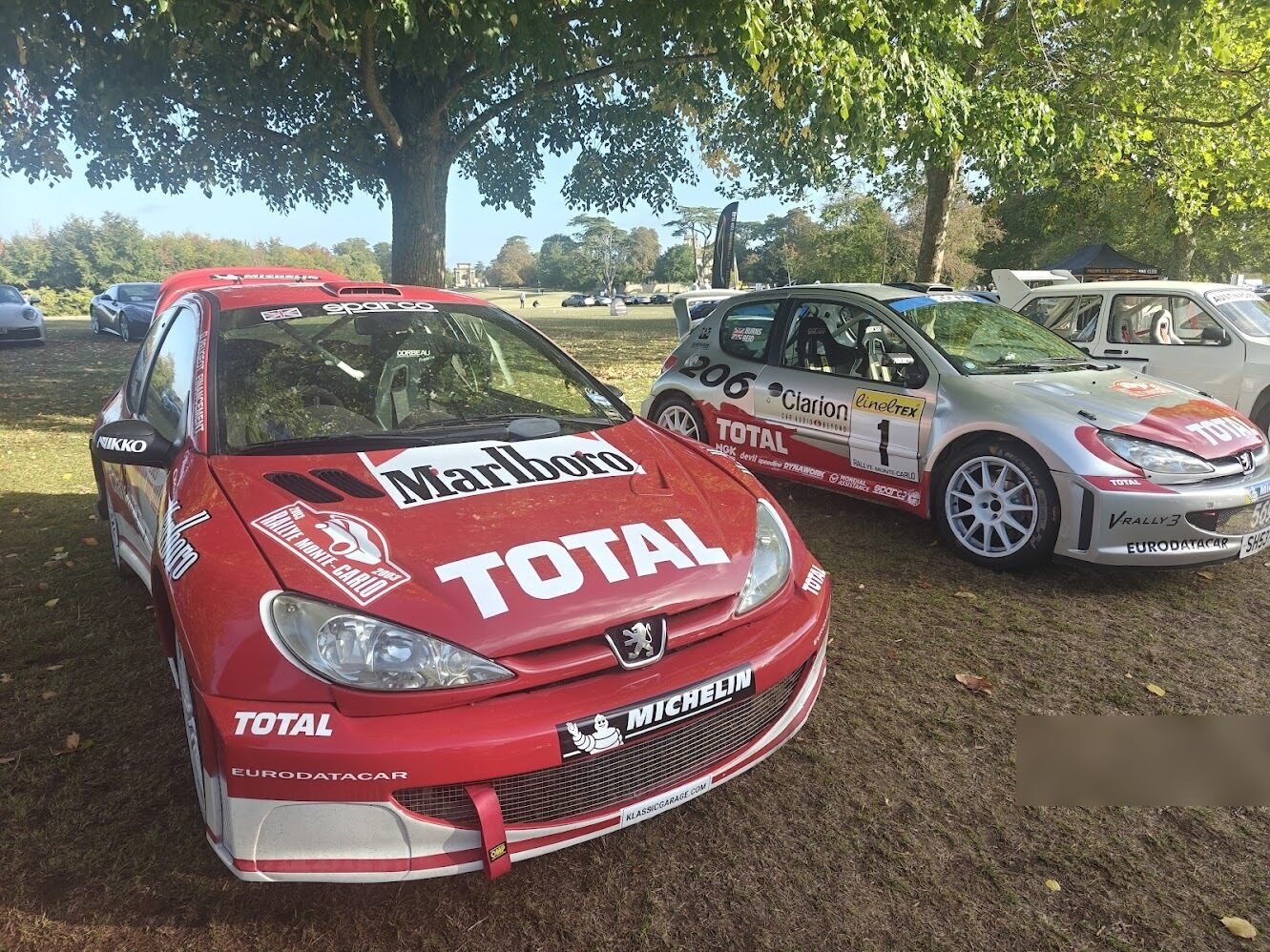 Two Peugeot 206 WRC rally cars displayed under trees at an outdoor motorsport event